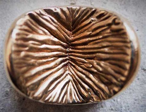 anus cast|This Model Made A Bronze Cast Of Her Anus–And You Can Too!.